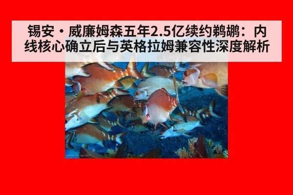 锡安·威廉姆森五年2.5亿续约鹈鹕：内线核心确立后与英格拉姆兼容性深度解析
